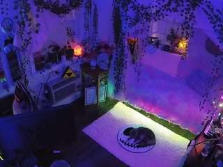 voyeurcam-veccasalt-01 Webcam Model Profile