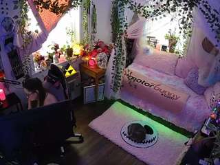 voyeurcam-veccasalt-01 - Live Cam