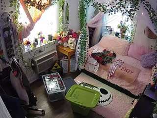 voyeurcam veccasalt 01