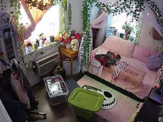 voyeurcam veccasalt 01
