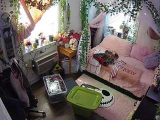 voyeurcam veccasalt 01