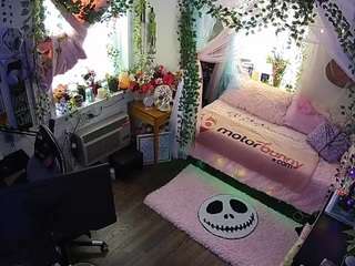 voyeurcam-veccasalt-01 - Live Cam