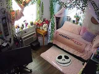 voyeurcam-veccasalt-01 - Live Cam