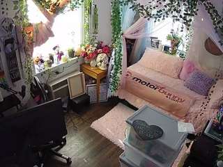 voyeurcam veccasalt 01
