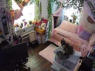voyeurcam veccasalt 01