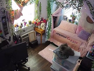 voyeurcam veccasalt 01