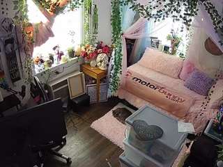 voyeurcam veccasalt 01