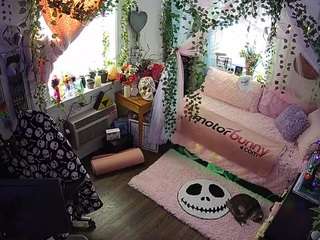 voyeurcam veccasalt 01