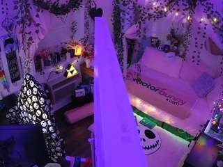 voyeurcam veccasalt 01