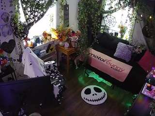 voyeurcam veccasalt 01
