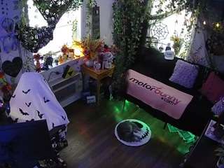 voyeurcam-veccasalt-01