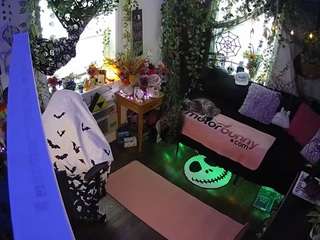 voyeurcam veccasalt 01