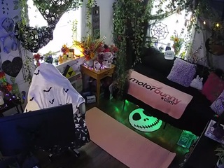 voyeurcam-veccasalt-01