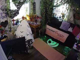 voyeurcam-veccasalt-01