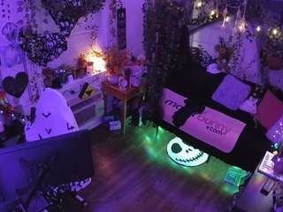 voyeurcam-veccasalt-... webcam