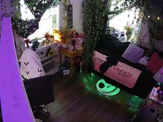 voyeurcam veccasalt 01