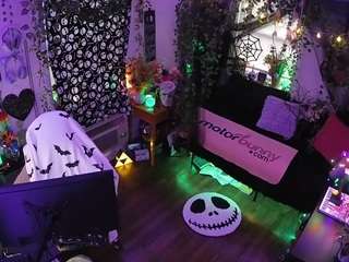 voyeurcam-veccasalt-01