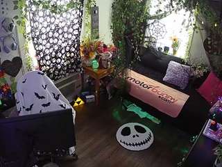 voyeurcam veccasalt 01