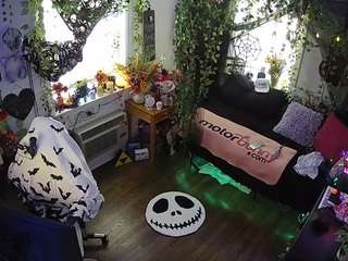 voyeurcam-veccasalt-... webcam
