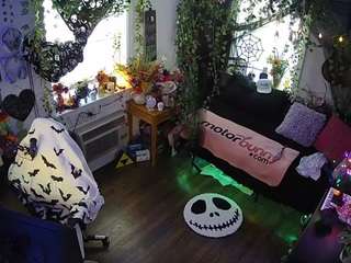 voyeurcam-veccasalt-... webcam