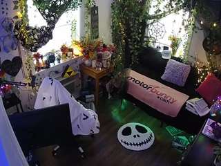voyeurcam-veccasalt-... webcam