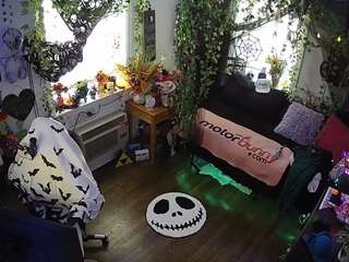voyeurcam-veccasalt-... webcam
