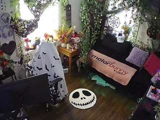 voyeurcam veccasalt 01