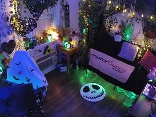 voyeurcam-veccasalt-... webcam