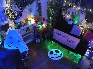 voyeurcam-veccasalt-... webcam