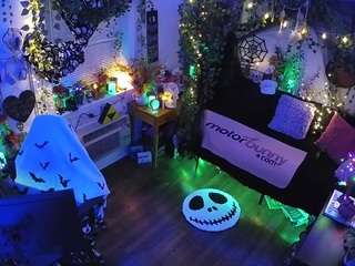 voyeurcam-veccasalt-... webcam