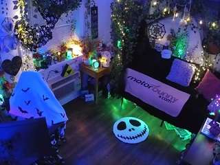 voyeurcam-veccasalt-... webcam