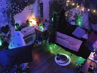 VECCASALT-Welcome! -NEW FANCLUB OPTION AVAILABLE!-LIVE Performance room/no tips needed! MODEL PAGE@VECCASALT-Please respect room rules. [8802 tokens remaining]