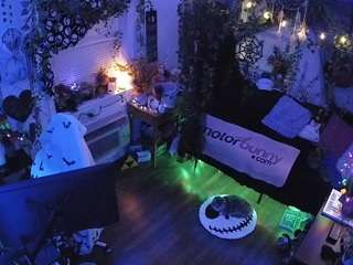 VECCASALT-Welcome! -NEW FANCLUB OPTION AVAILABLE!-LIVE Performance room/no tips needed! MODEL PAGE@VECCASALT-Please respect room rules. [8801 tokens remaining]