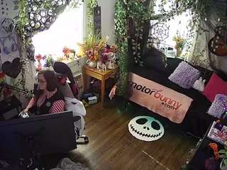 voyeurcam-veccasalt-... webcam