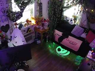 voyeurcam-veccasalt-... webcam