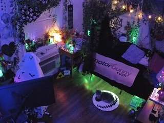 voyeurcam-veccasalt-01