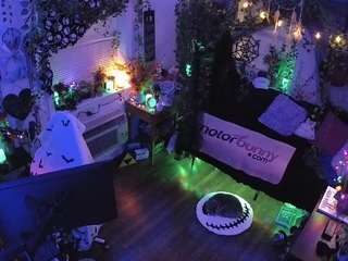 voyeurcam-veccasalt-... webcam