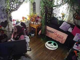 voyeurcam veccasalt 01