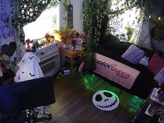 voyeurcam veccasalt 01
