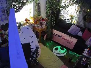 voyeurcam veccasalt 01