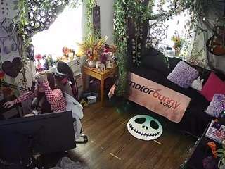 voyeurcam veccasalt 01