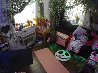 voyeurcam-veccasalt-01