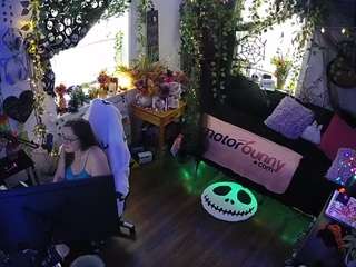 voyeurcam veccasalt 01