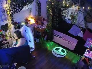 voyeurcam veccasalt 01