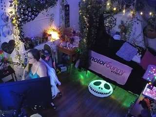 voyeurcam veccasalt 01
