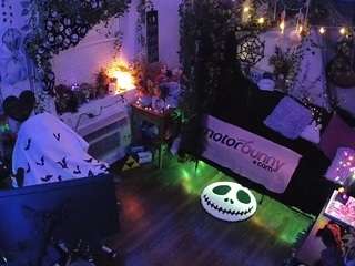 voyeurcam veccasalt 01