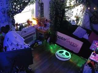 voyeurcam-veccasalt-01