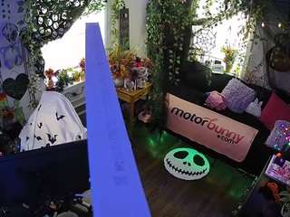 voyeurcam-veccasalt-... webcam