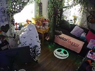 voyeurcam veccasalt 01