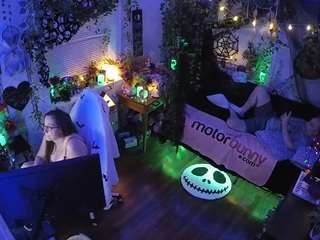 voyeurcam-veccasalt-01